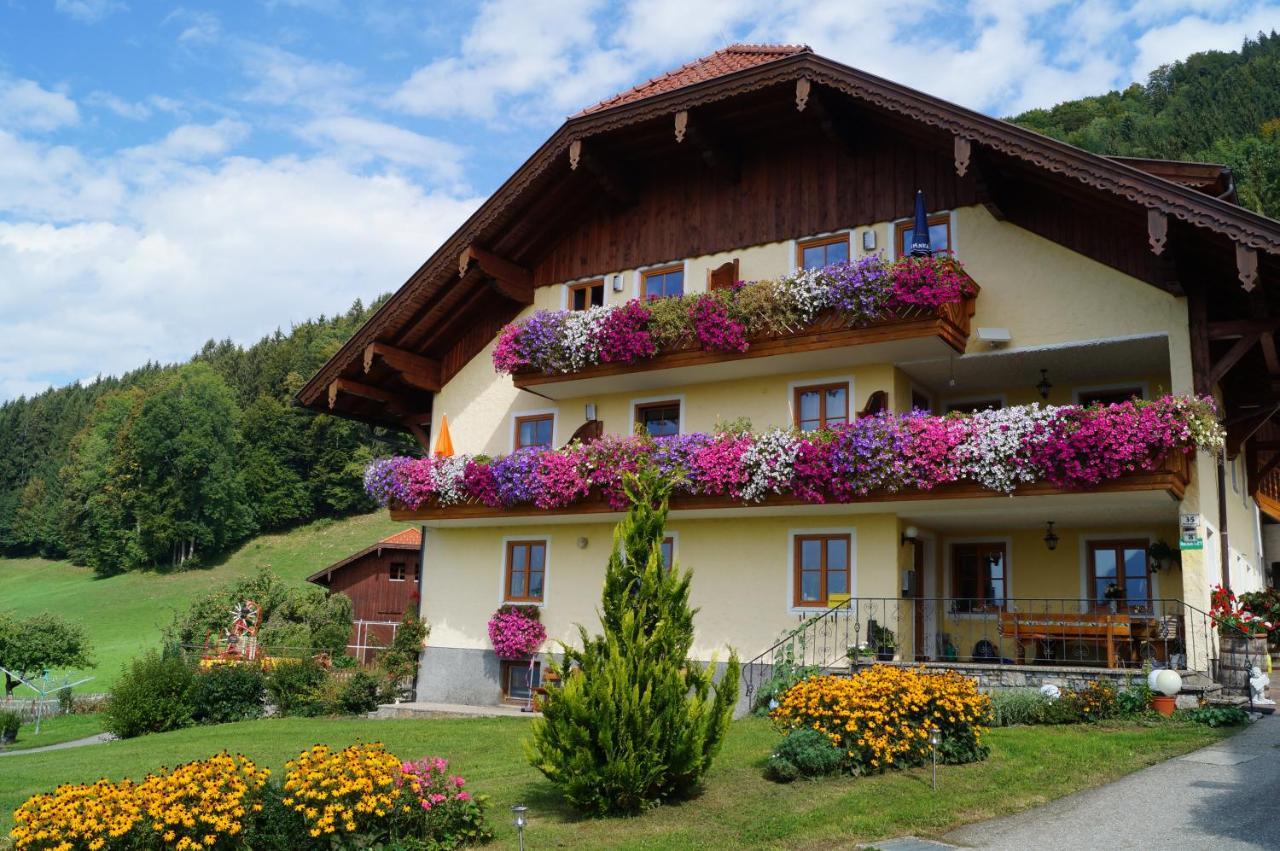 Gesundheitshof Lohninger Villa Mondsee Buitenkant foto