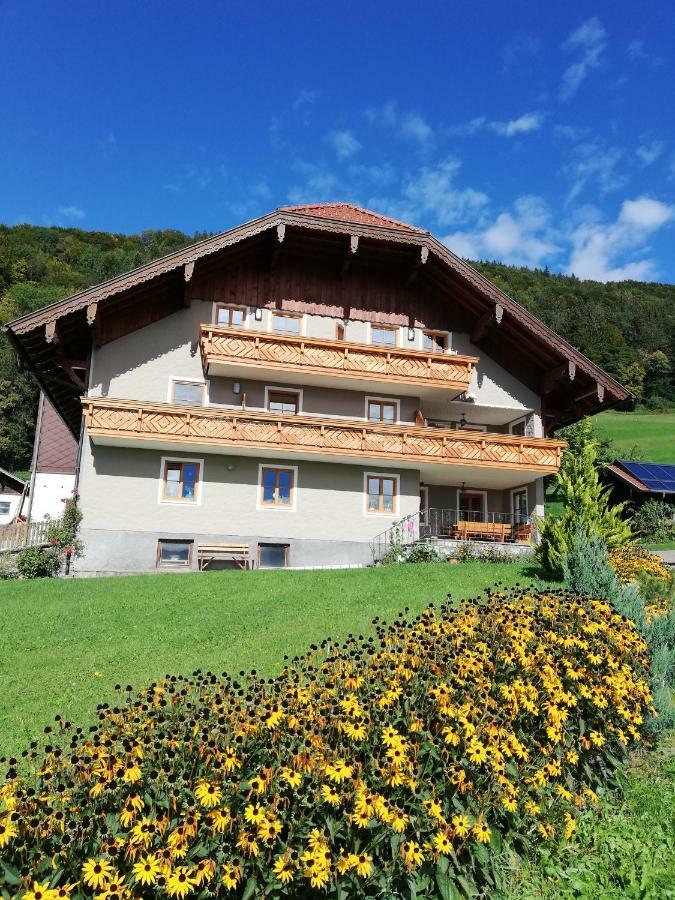 Gesundheitshof Lohninger Villa Mondsee Buitenkant foto